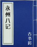 永州八记