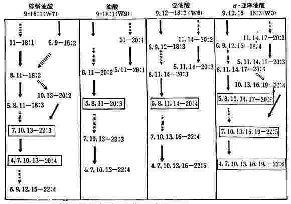 linchuangyingyangxue115.jpg