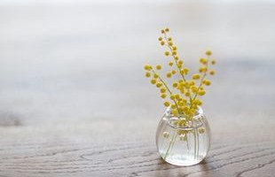 最唯美的两字网名大全:斷弦ヽ