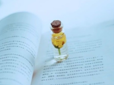 时尚流行的9字网名:有些人,只关注,不打扰