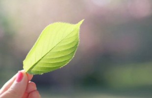 好听个性的QQ名字:爱就99不爱就88