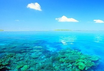 带特殊符号的四字网名:﹏淺\Sè时光つ