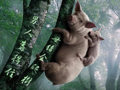 关于小三的网名,骂小三的网名