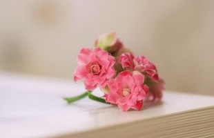四个字伤感网名设计:心如孤島。