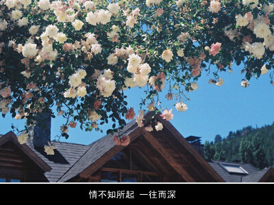 有深度有内涵的网名