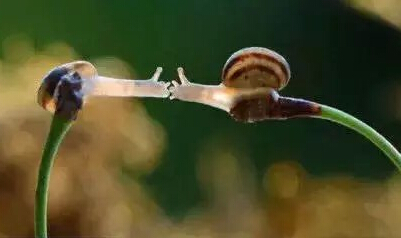 最有个性的昵称