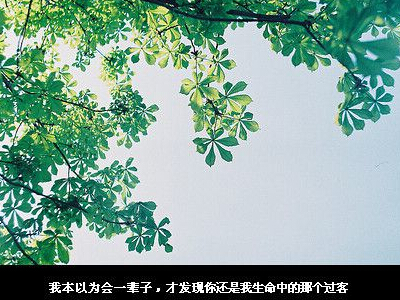 2015长网名大全2