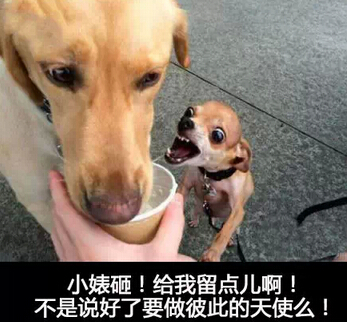 风趣的名字2