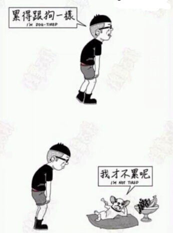 个性经典的搞笑网名大全