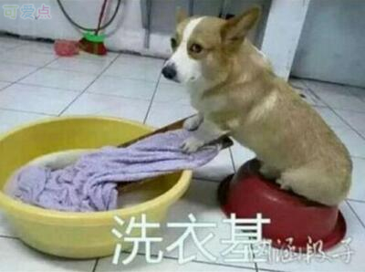 搞笑的支付宝昵称,支付宝搞笑名字